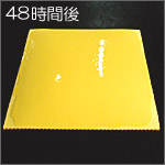 48Ԍ