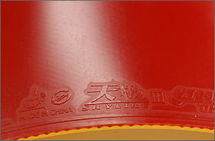 スカイラインV(トップシート)