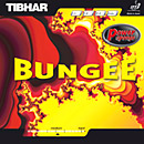 TIBHAR [oW[Ep[]