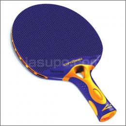 TACTEO T30֥``