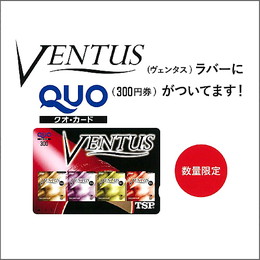 ヴェンタススピードクオカード付PC