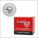 [年度末]TWCワールド・トレーニングボール100球入