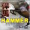 HAMMER 経済