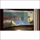 [JSP-DVD] 韓国男子卓球を説く