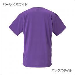 ナパTシャツIV(新色)