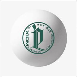 パワーテックXTR100