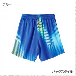 V-NGP243
