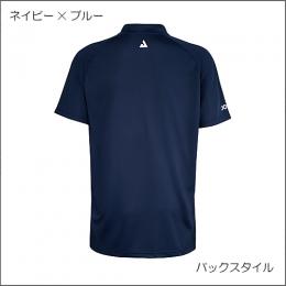 ソルスタイス(新色)