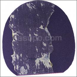 23930　【卓球　中古】　A　Qクオリティー(83JRT299)　赤/特厚