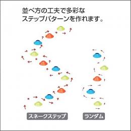 ステップコーントレコン36枚セット