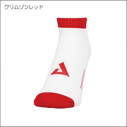 チームアンクルソックス