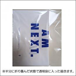 【数量限定】VICTASショップ袋
