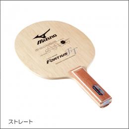 フォルティウスFT18TT21055