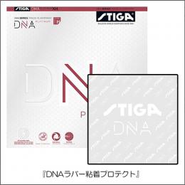 【粘着シート付き】DNA PLATINUM XH