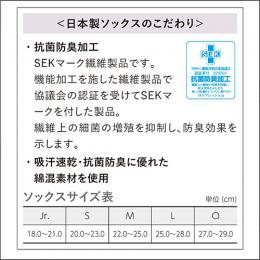 カラーボーダーソックス
