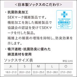 レイスラソックス
