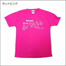 【特価】サクラT