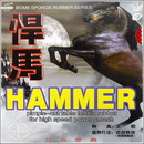 HAMMER 経済