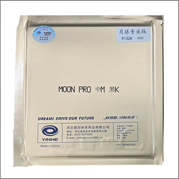 月 Moon PRO