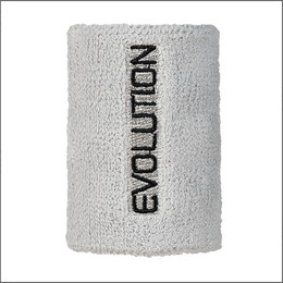 EVOLUTION リストバンド