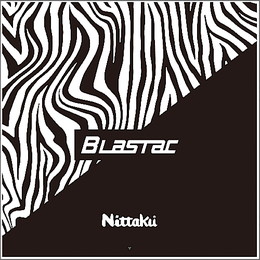 【数量限定】ブラスタックシート