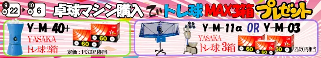 TOPランキング