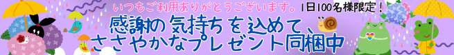 プレゼント