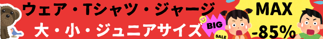大小ジュニア